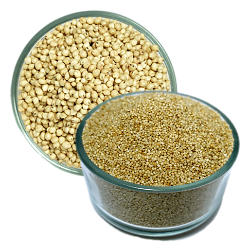 Whole Grains & Cereals